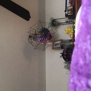 Meet your Posher, Ella